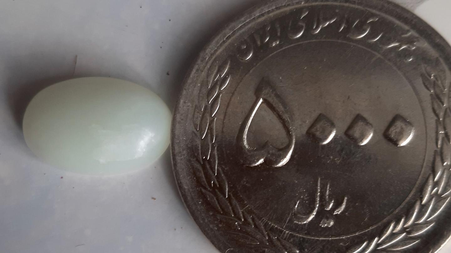 نگین صدف معدنی کوچک