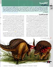 فرهنگ
