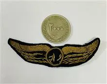 وینگ