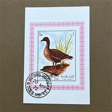 مینی