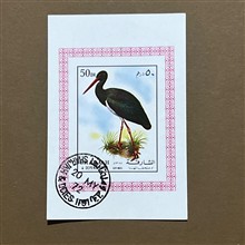 مینی