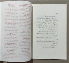 نشریه