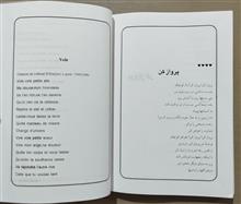 قدرت