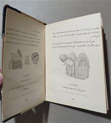 حشره