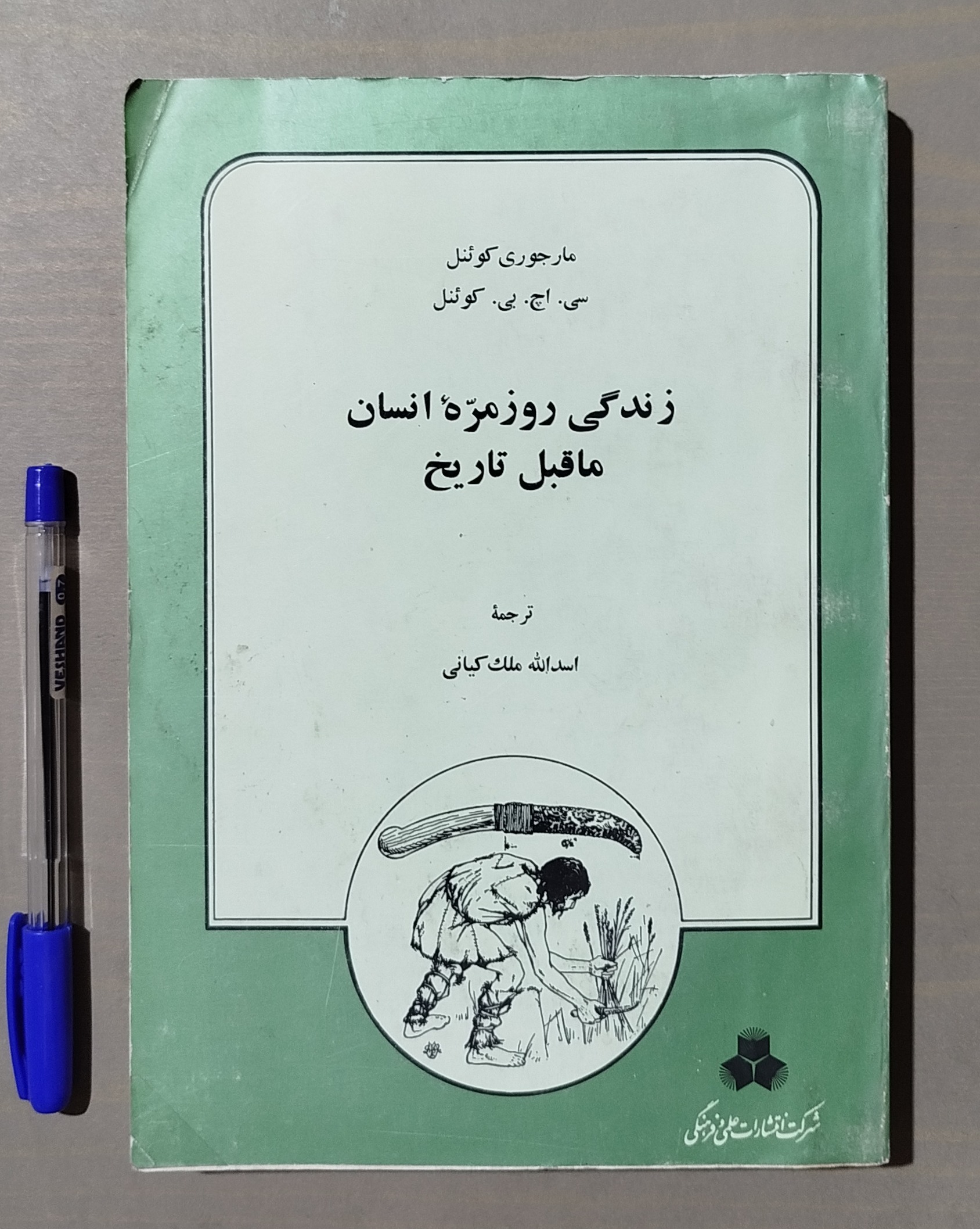 زندگی روزمره انسان ماقبل تاریخ
