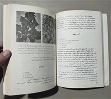 سبزی