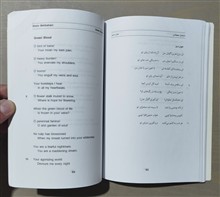 شاید