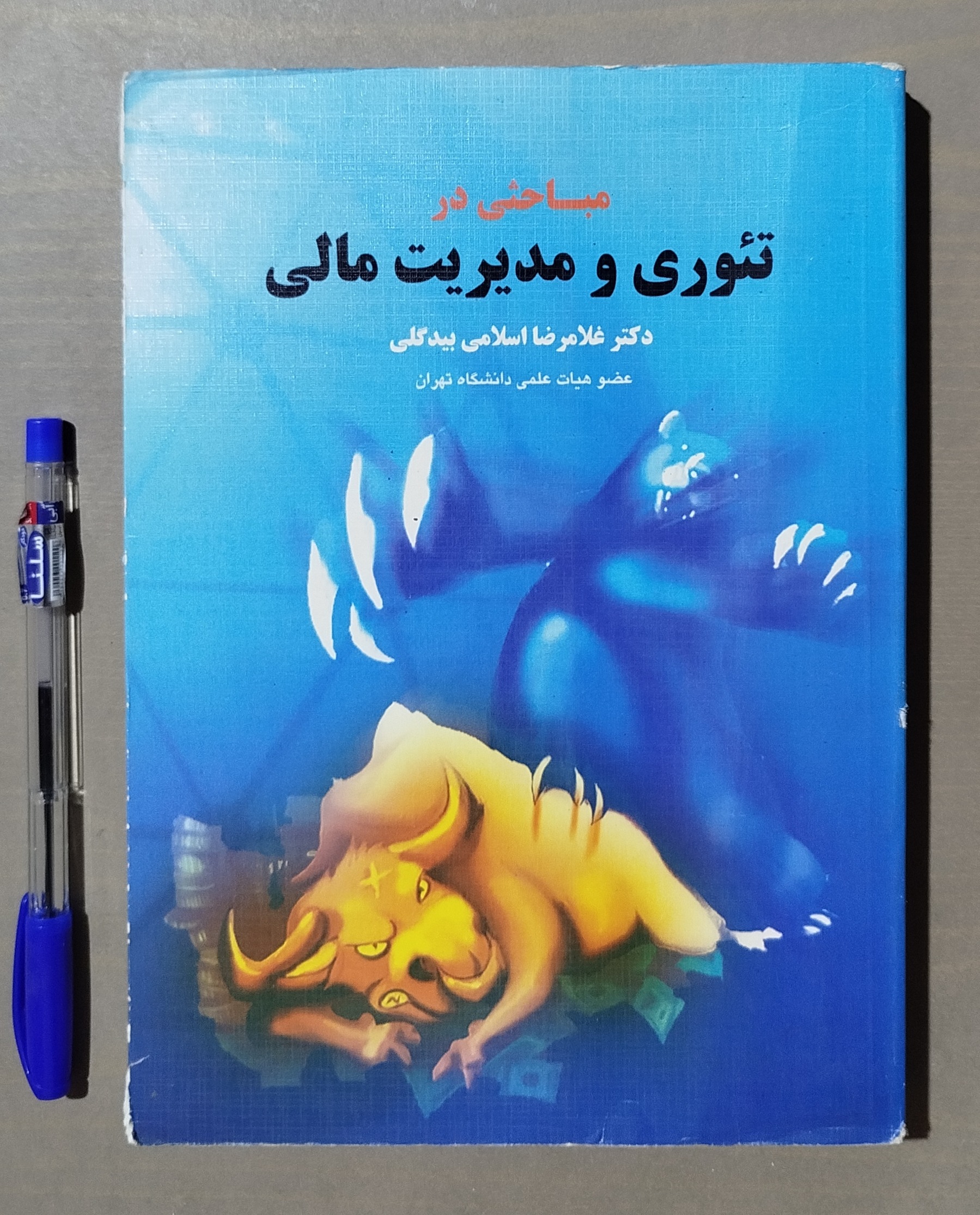 مباحثی در تئوری و مدیریت مالی