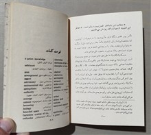 نسبیت