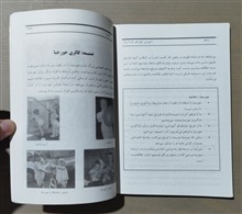 رشد