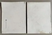 تاریخ