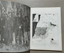 جنوب