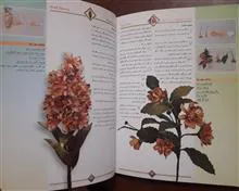 گنجینه