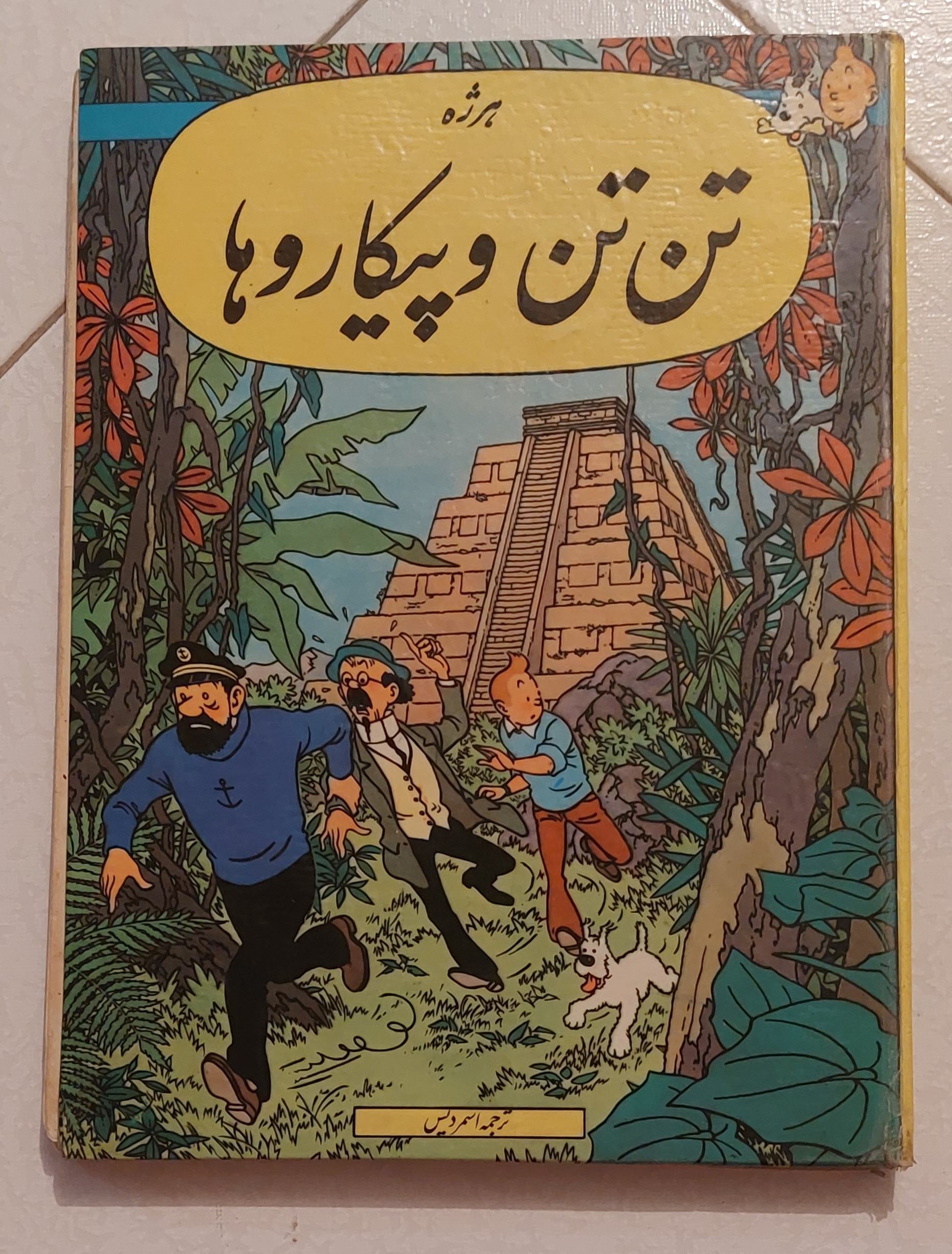 تن تن و پیکاروها