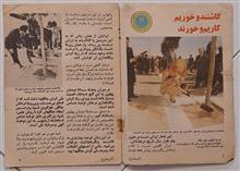 کیهان