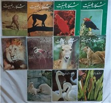 مجله