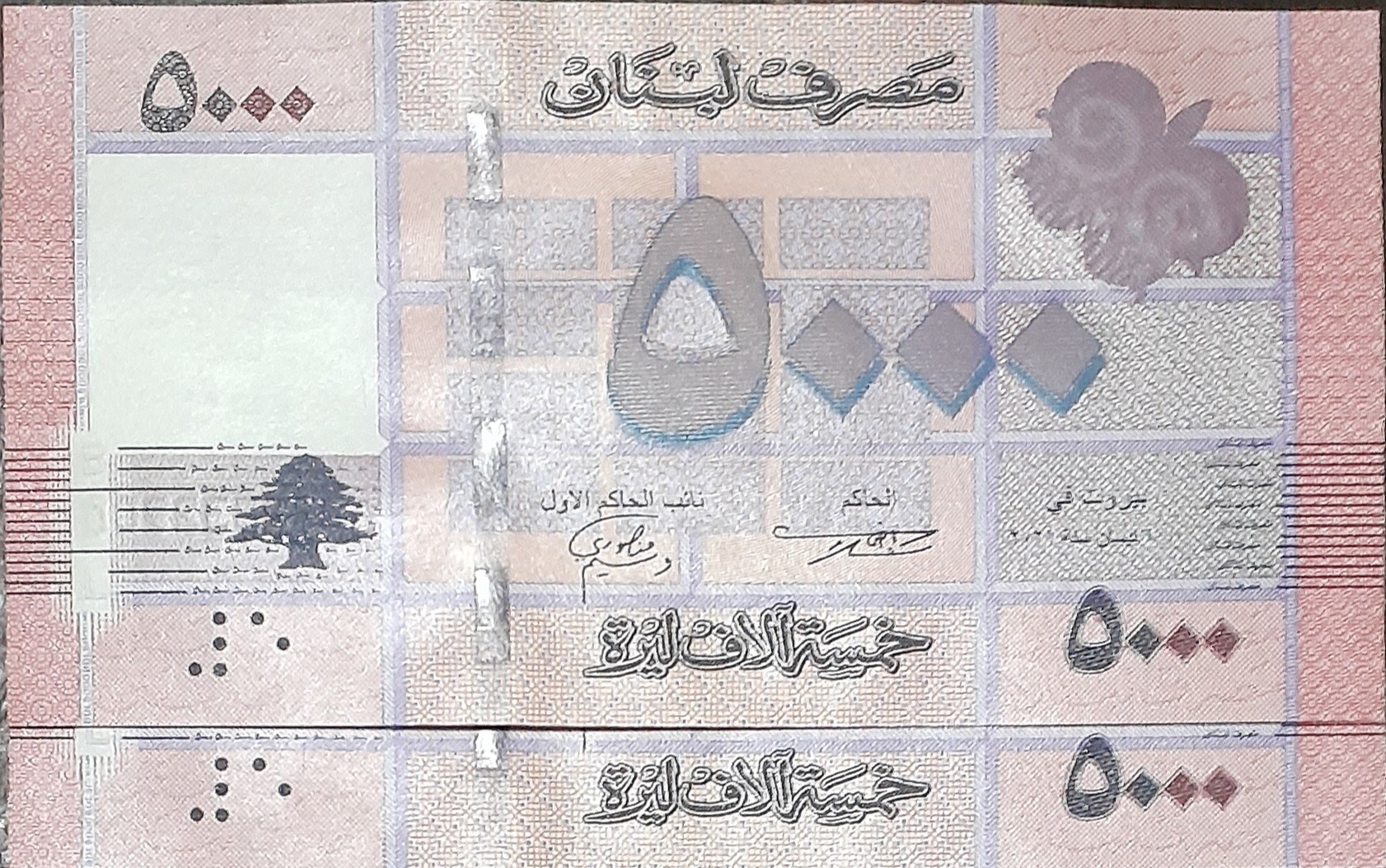 جفت بانکی اسکناس 5000 لیره لبنان 2021 میلادی