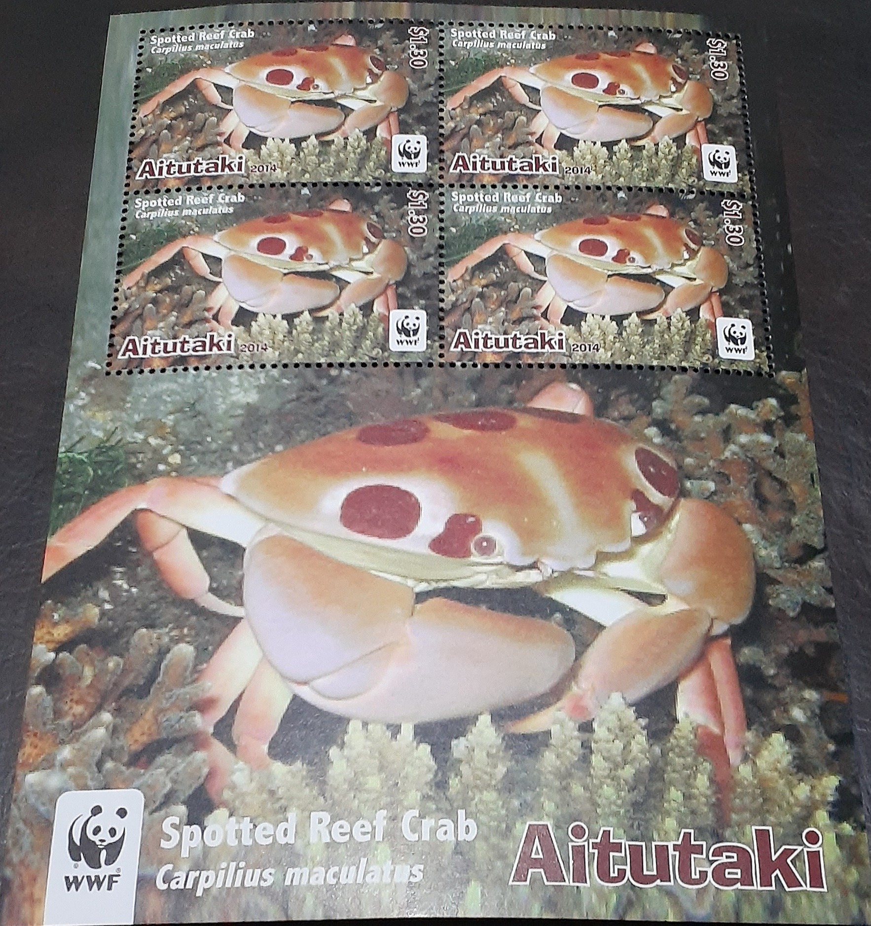 مینی شیت خرچنگ آیتوتاکی سال 2014 میلادی