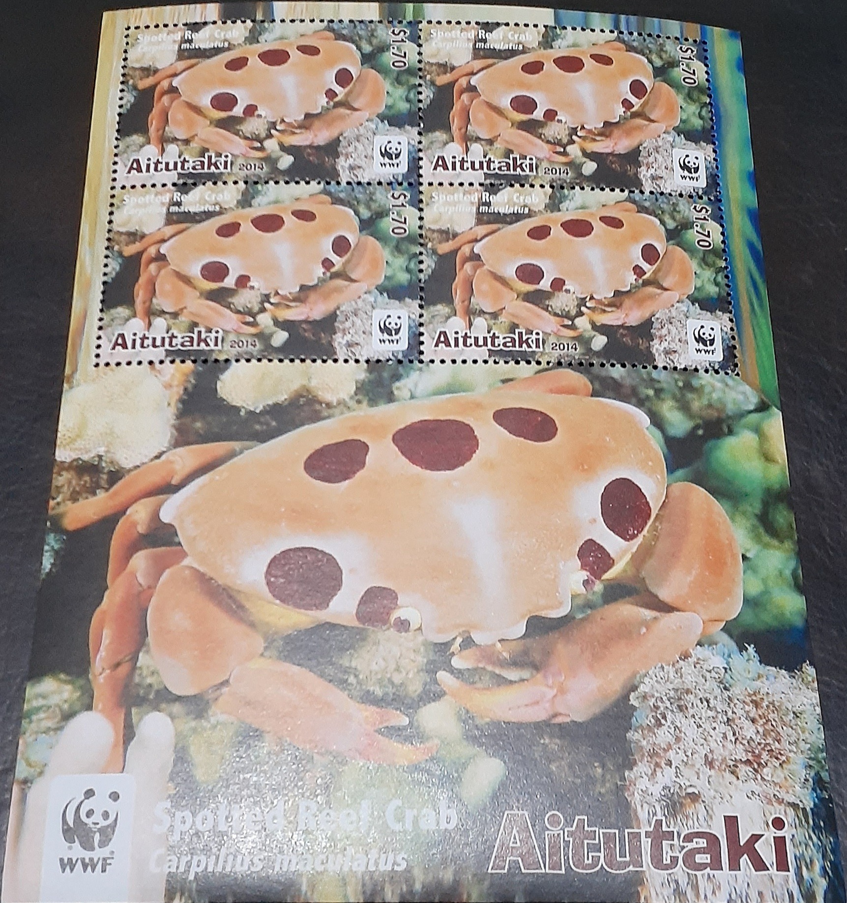 مینی شیت خرچنگ آیتوتاکی سال 2014 میلادی