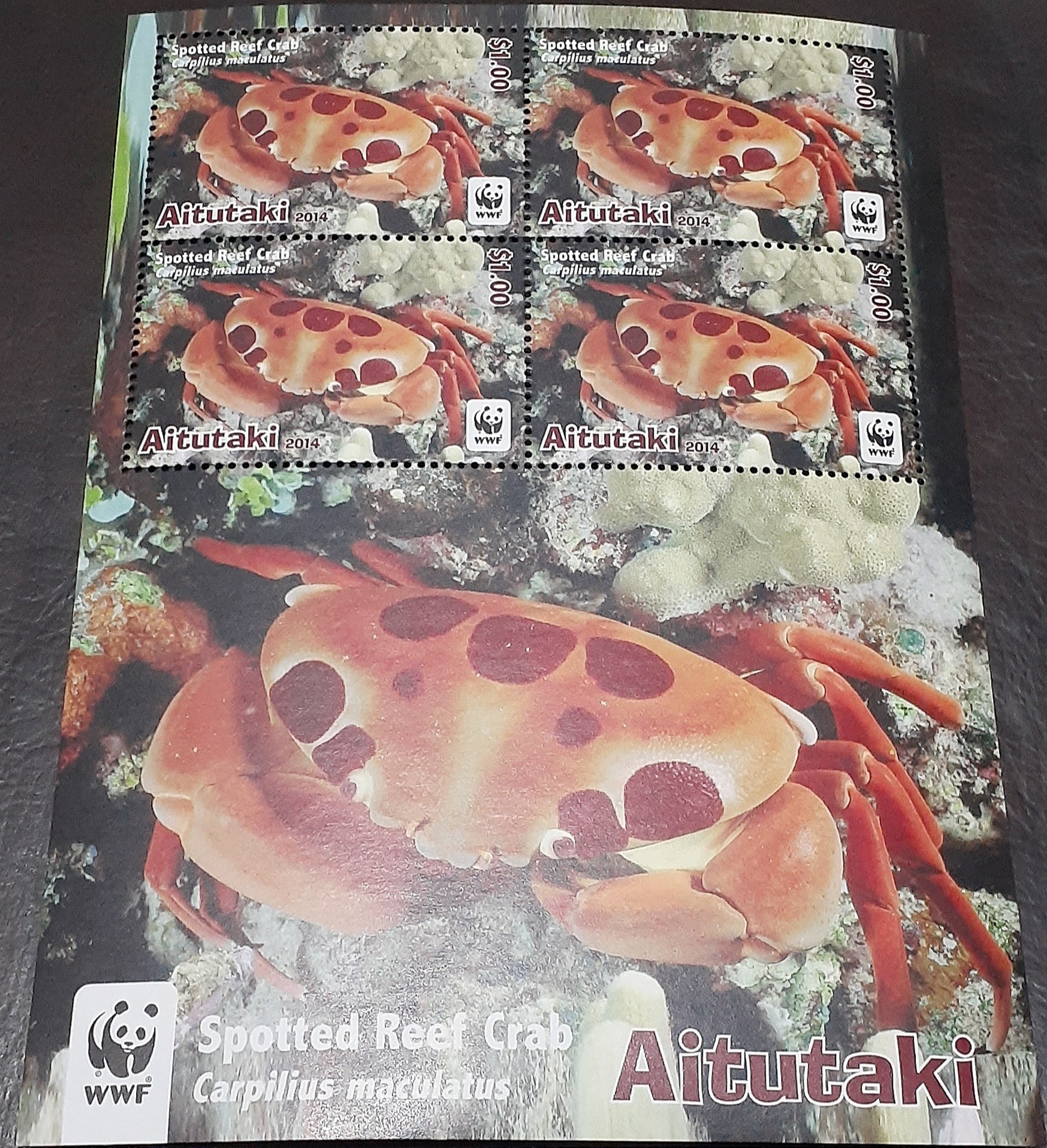 مینی شیت خرچنگ آیتوتاکی سال 2014 میلادی