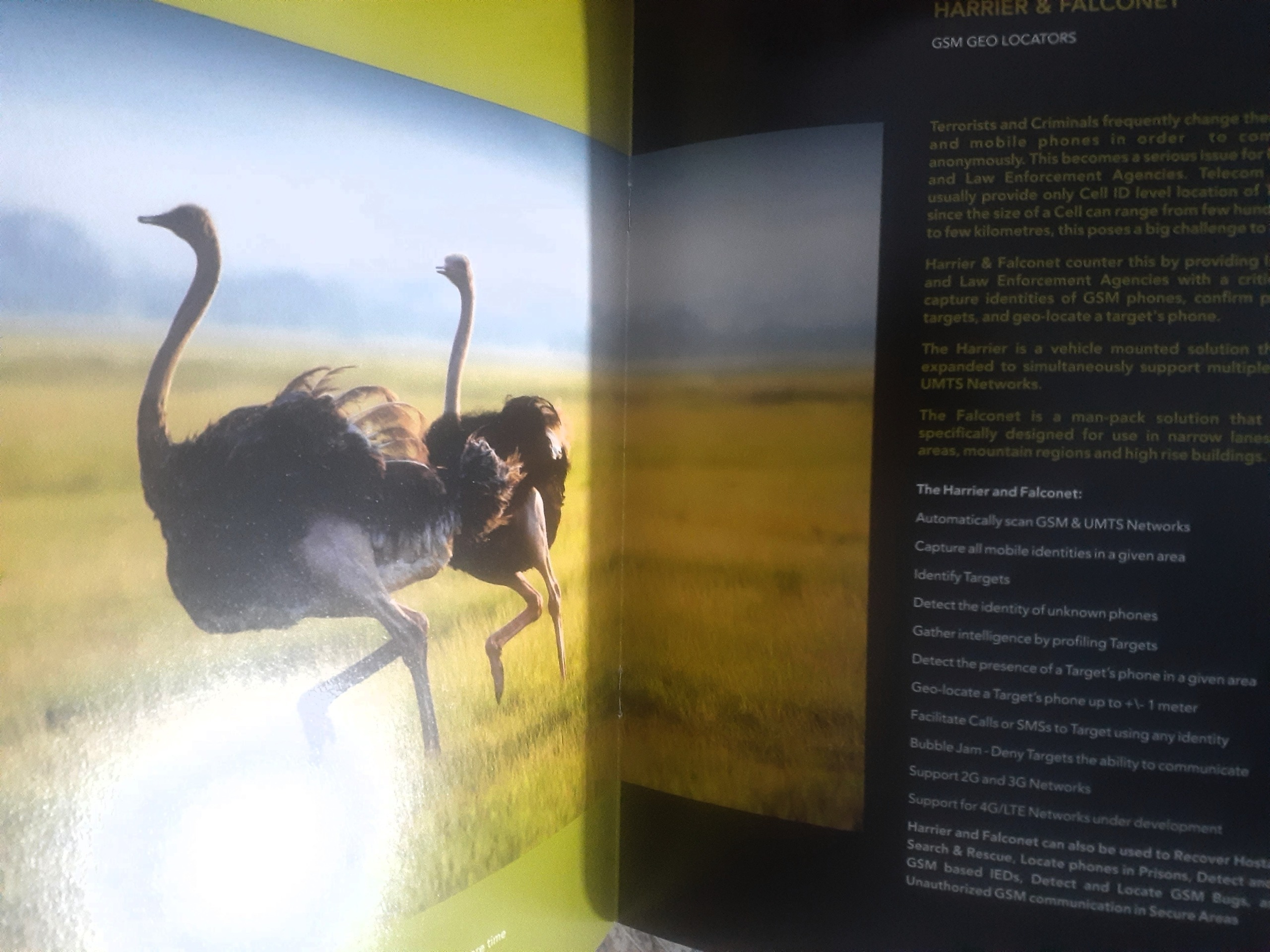 نشریه 16 صفحه ای بسیار زیبای حیات وحش دو رو گلاسه