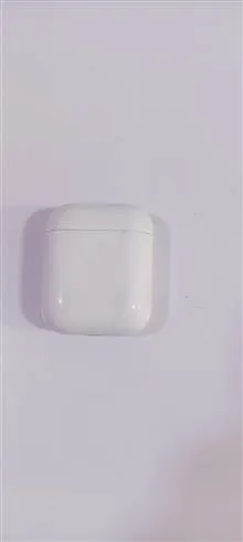 قوطی