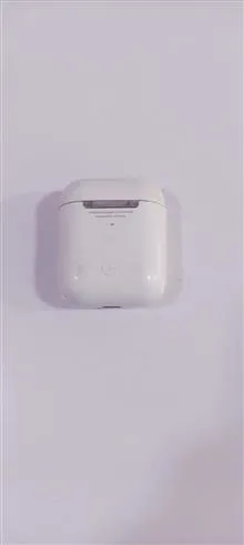 قوطی