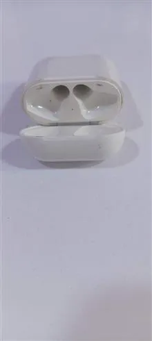 قوطی