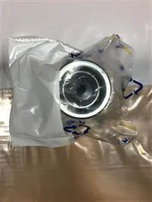 هرزگرد