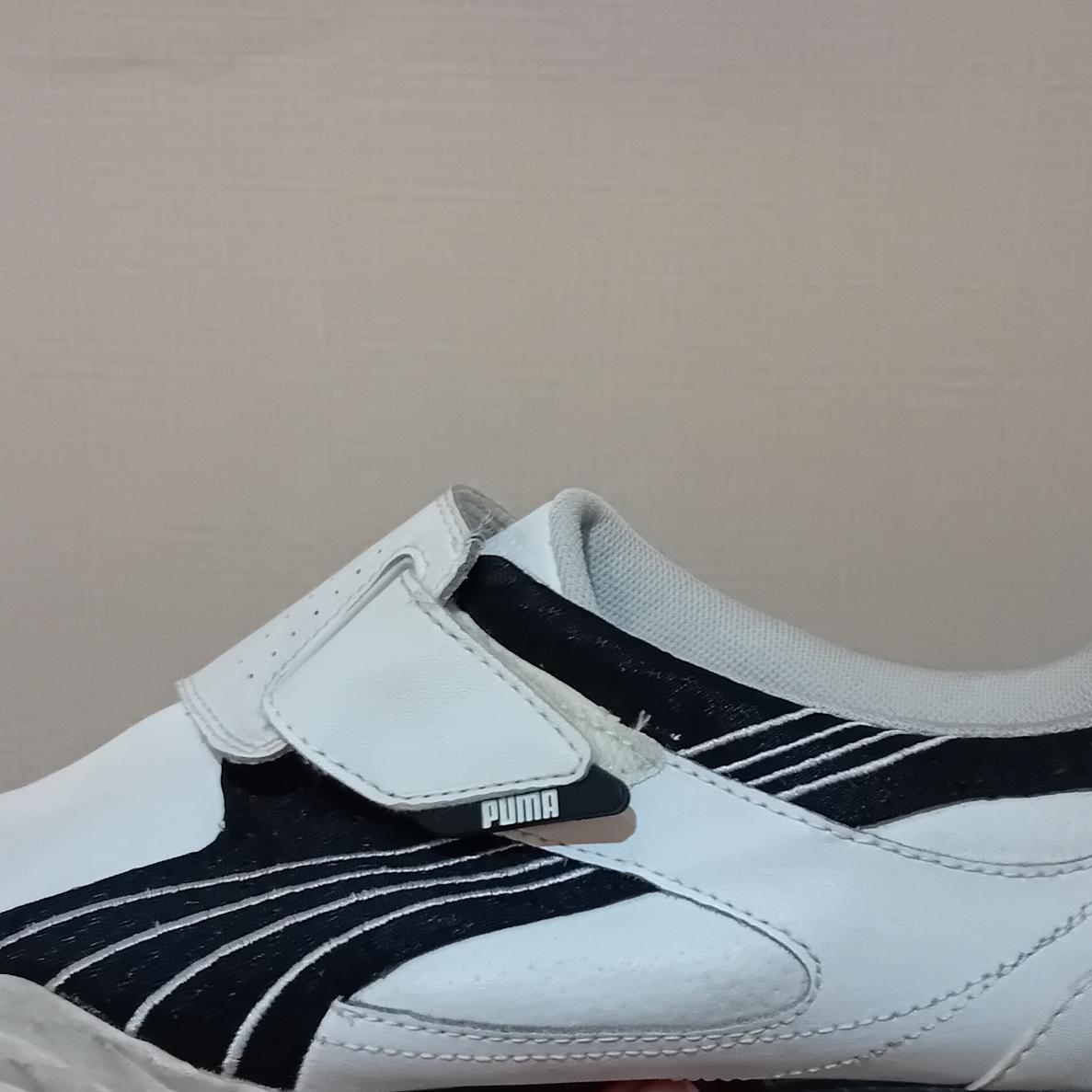 کتانی پوما اصل