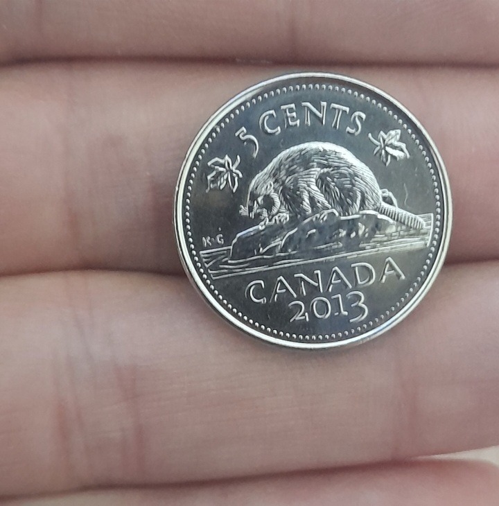 سکه زیبا و کمیاب کانادا (هدیه)