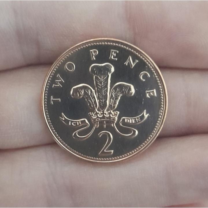 سکه 2 پنی بریتانیا الیزابت دوم 1996 (درحدبانکی)