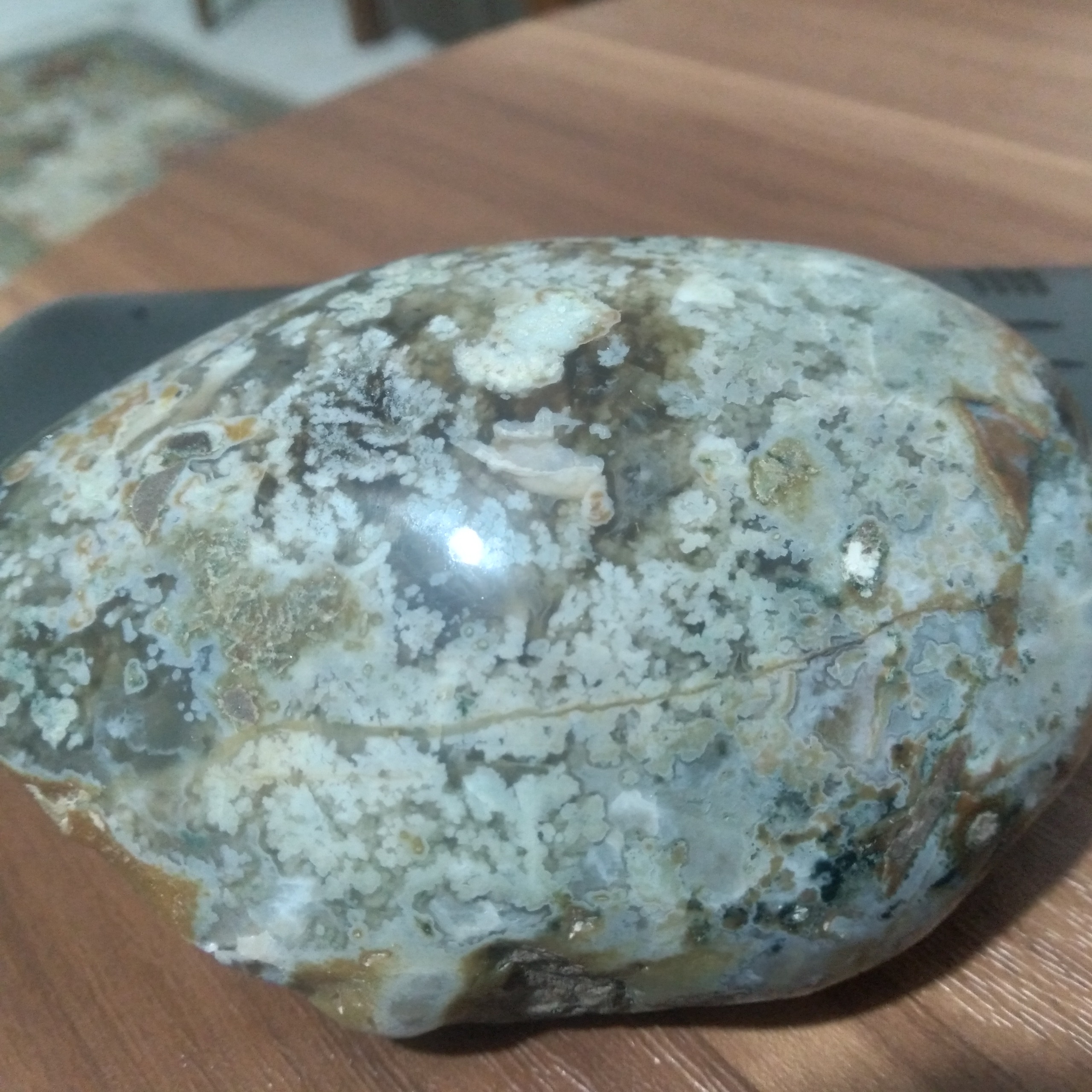 راف شجر بهاری