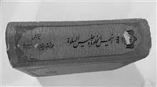 انیس