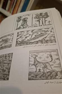 عجایب