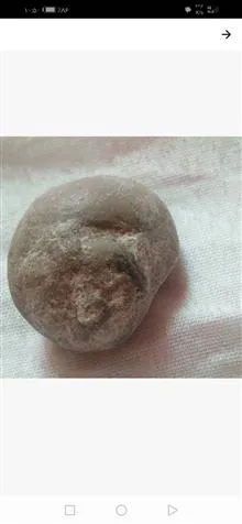 فسیل