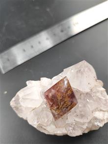 نگین