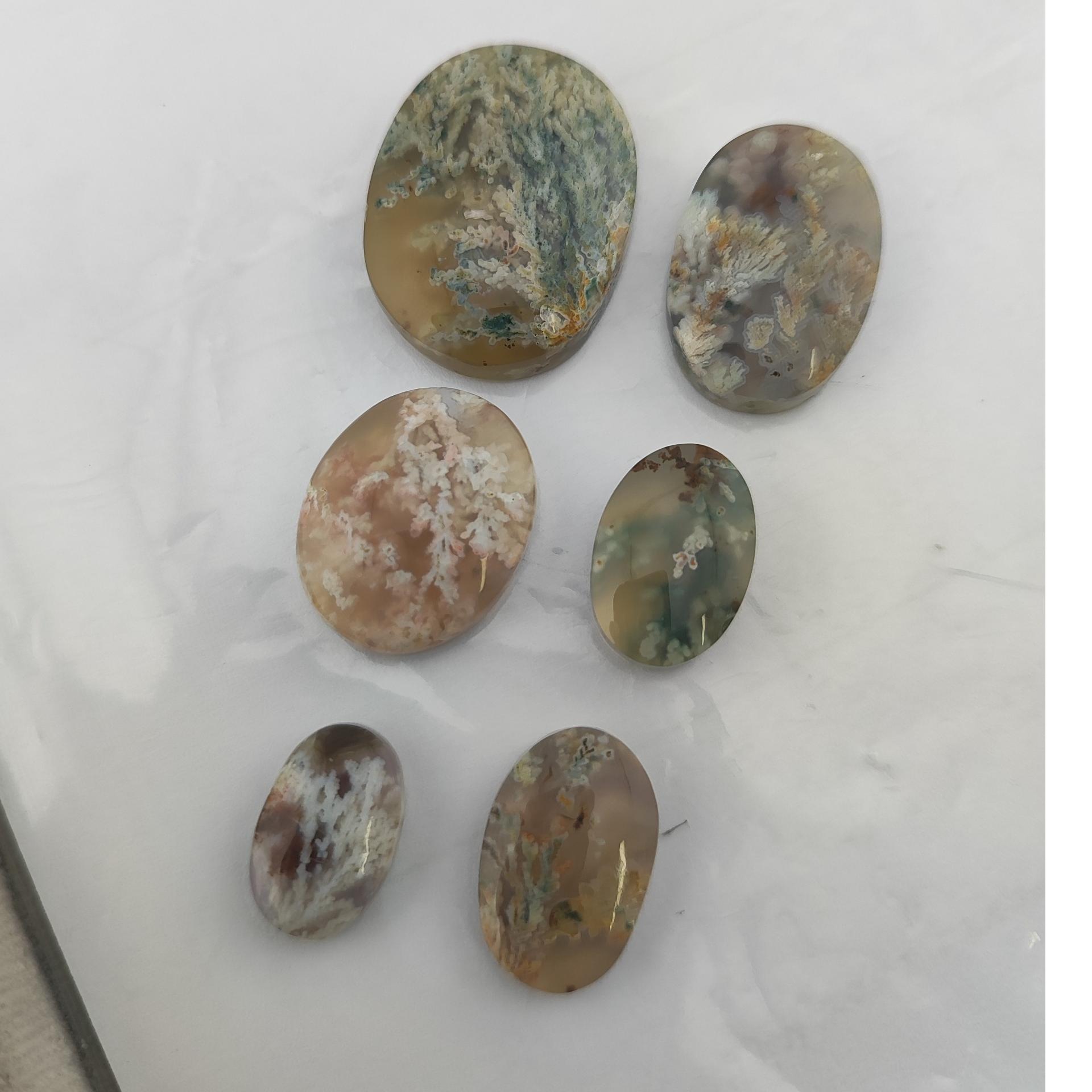 نگین شجر طرح و رنگ روشن