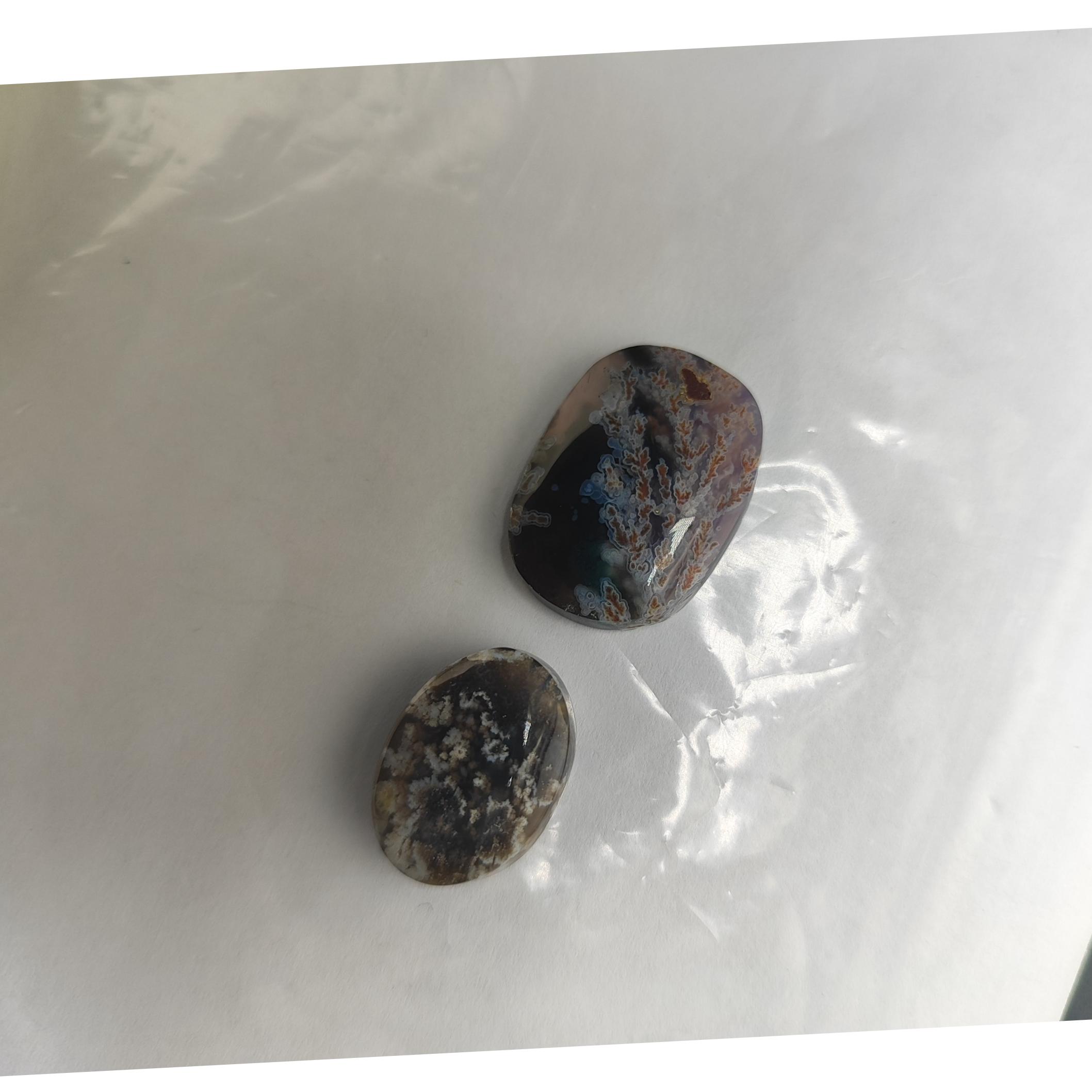 دو عدد شجر خاص