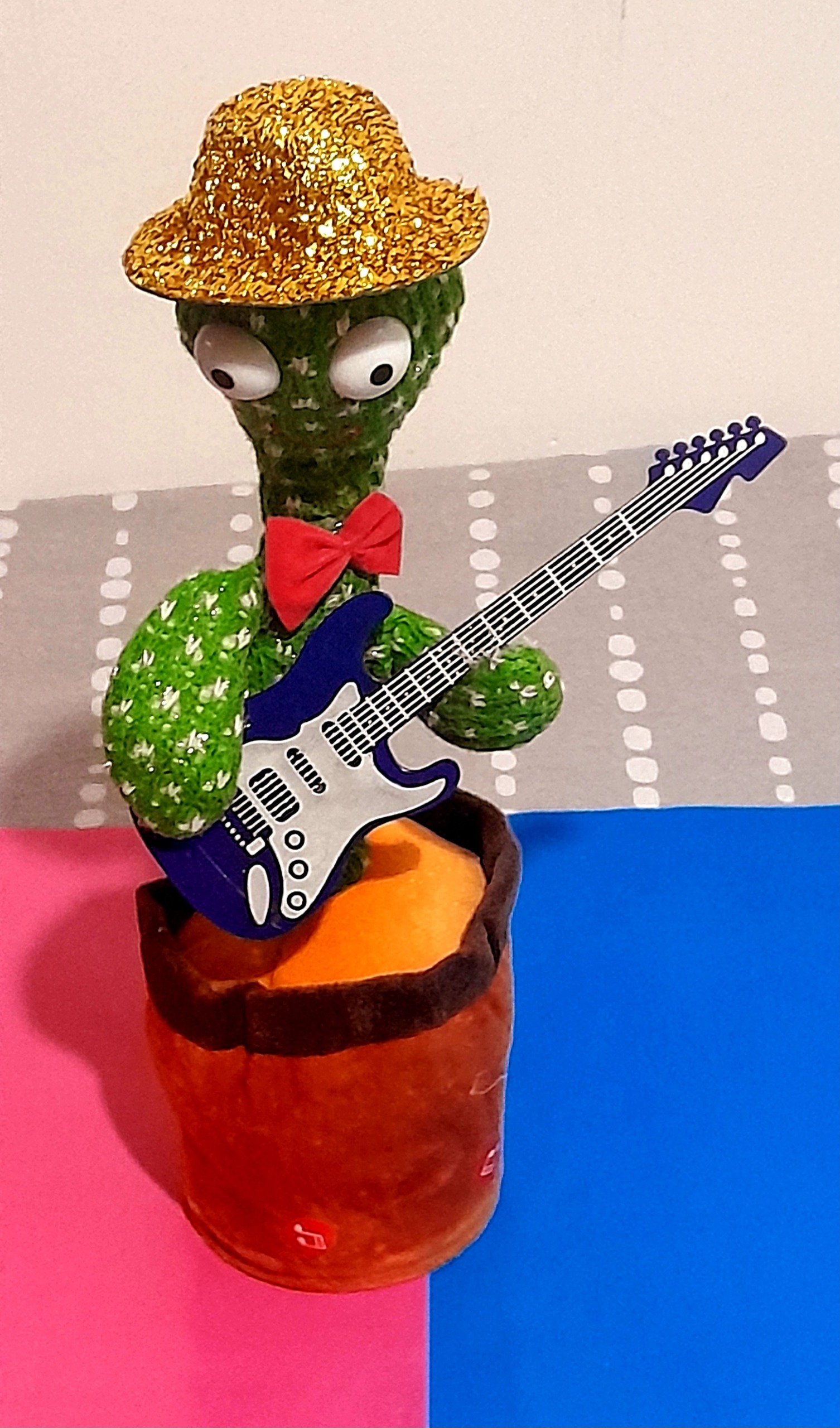 کاکتوس آوازه خان به همراه گیتار