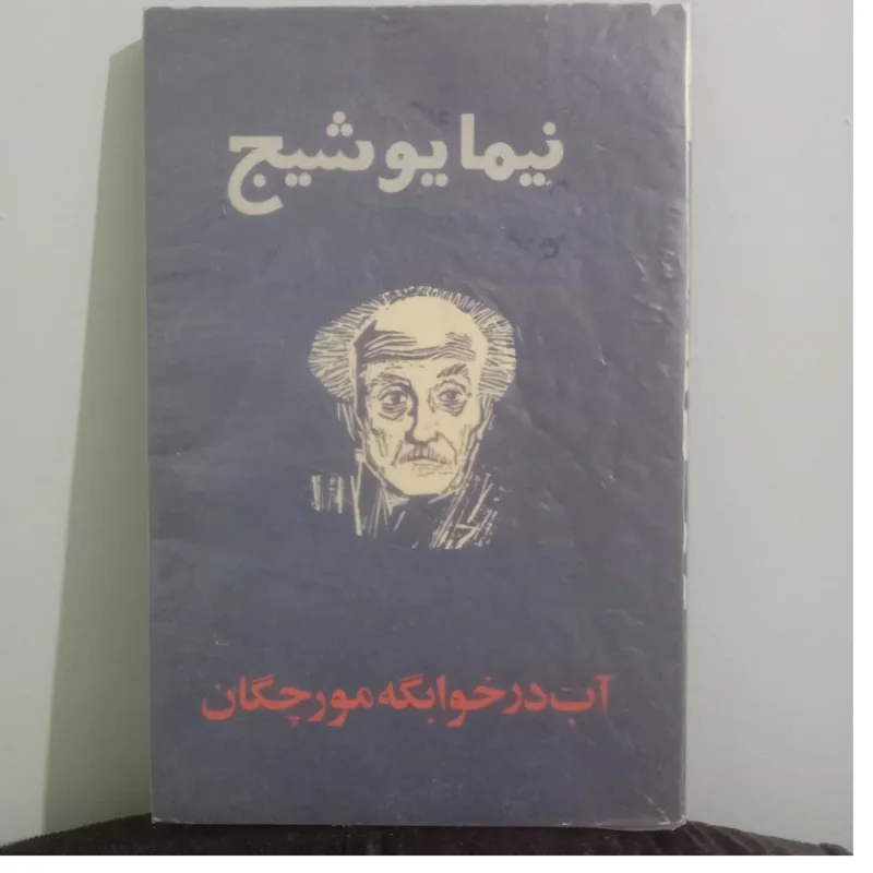 کتاب نیمایوشیج، آب درخوابگه مورچگان