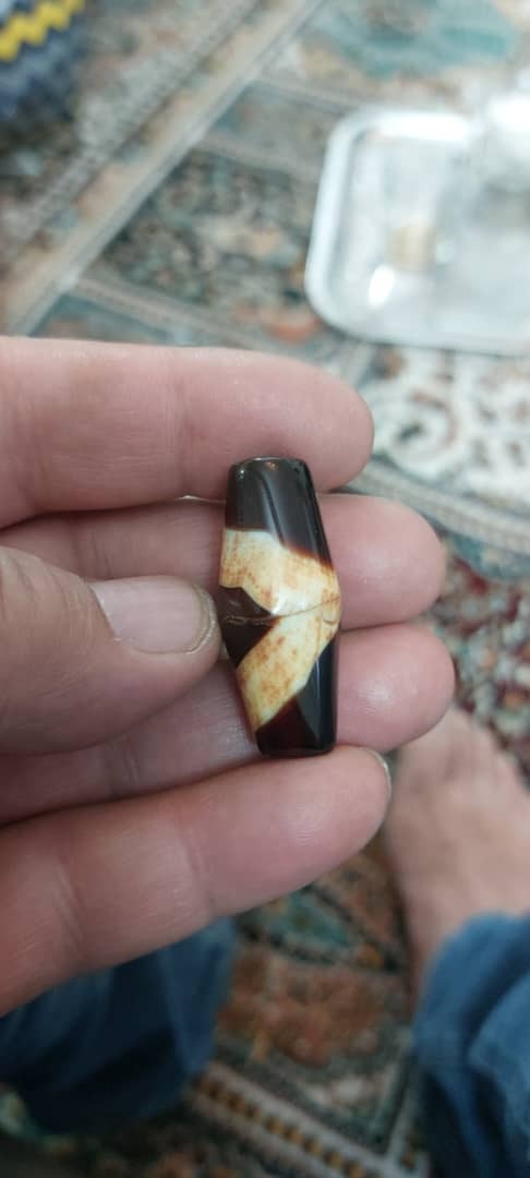 مهره سلیمانی چندپوست