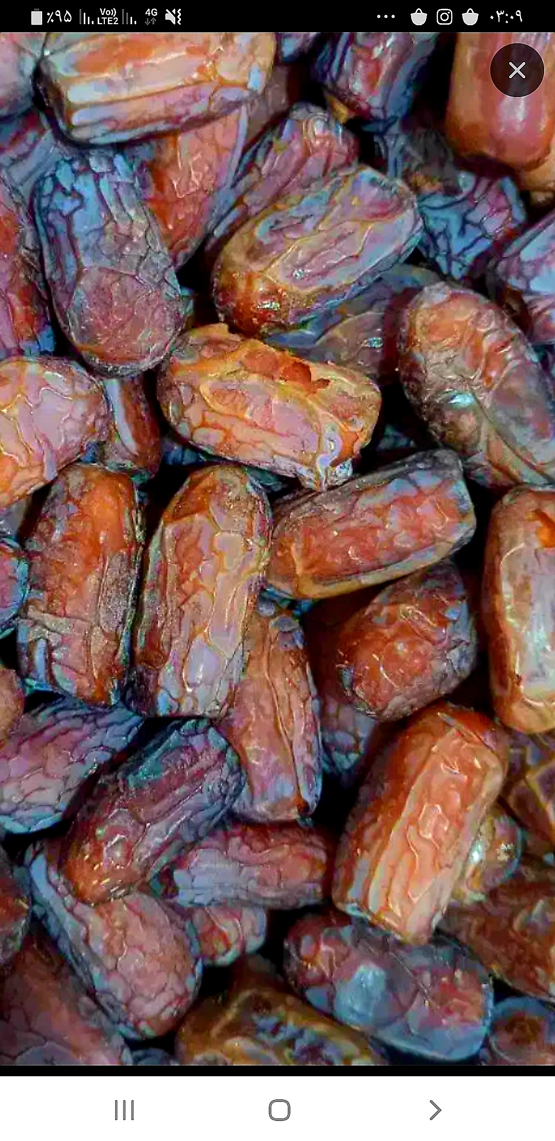 خرمای پیارم صادراتی