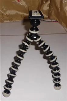 پایه