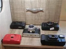 تعداد