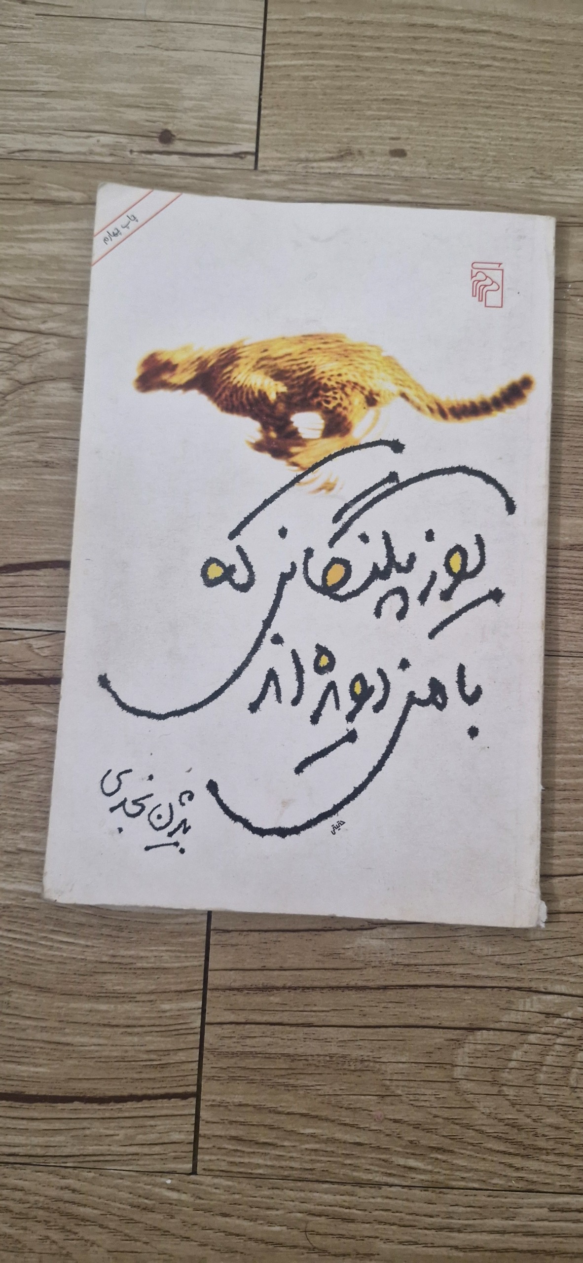 کتاب یوزپلنگهایی که با من دویده اند