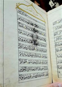 حزب