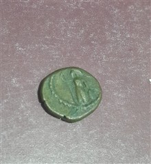سکه((