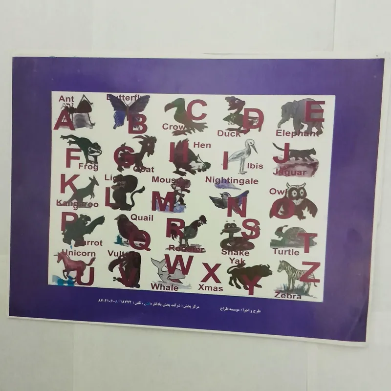 40 عدد پوستر آموزش زبان A4 گلاسه