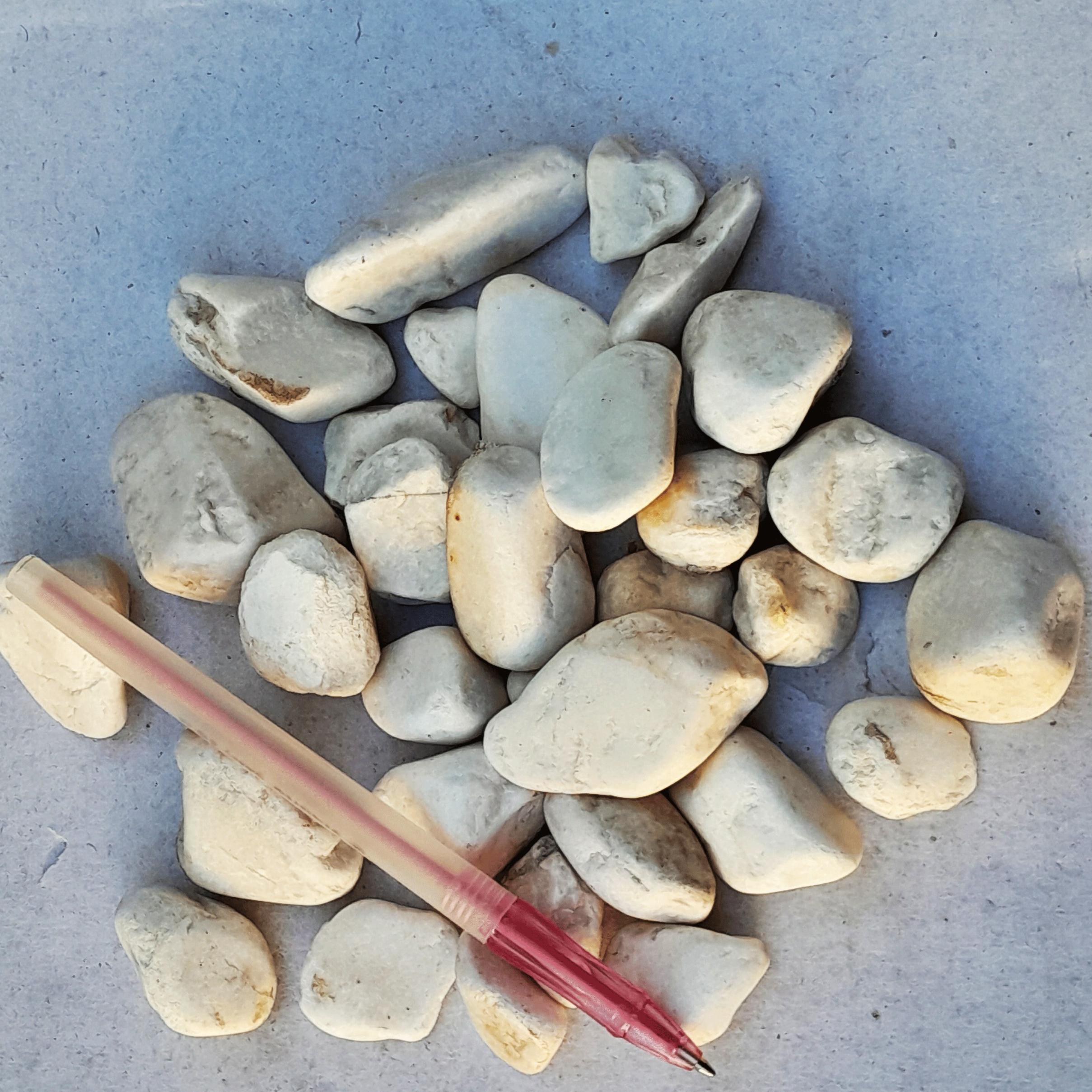 شن بزرگ آکواریومی سنگاپوری 550 گرم 30 عدد